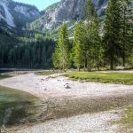 about bg 150x150.jpg