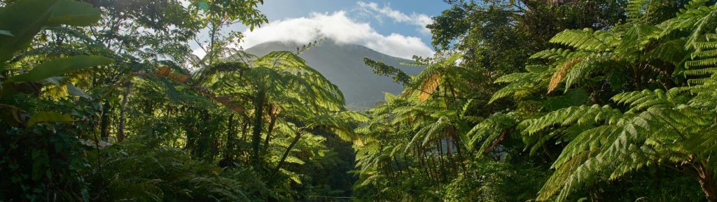 footer cta 1024x289.jpg